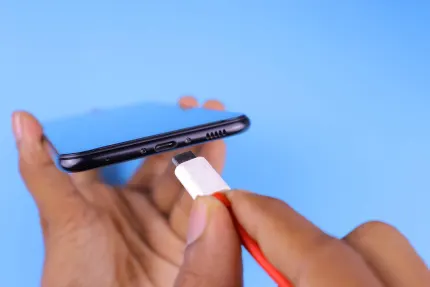 Cazino Mobile Wins Cazinou Aplicație mobilă